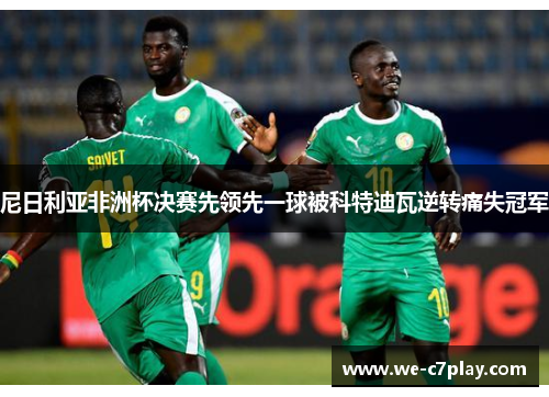 尼日利亚非洲杯决赛先领先一球被科特迪瓦逆转痛失冠军
